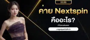 ค่าย Nextspin